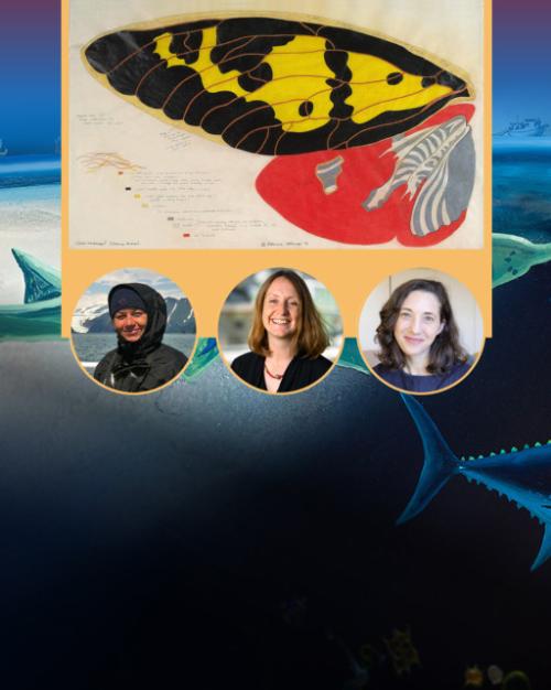 Illustration of underwater scene with three faculty head shots superimposed on it