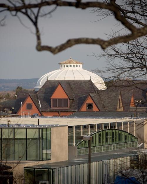		Three college campus buildings of various architectural types receed into the distance under a grey sky and a bare branch
	