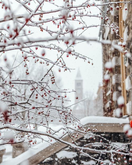 snow on an Arts Quad building