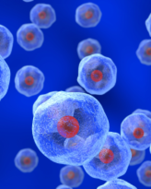 filmy, white globs with red dots in their centers float against a blue background