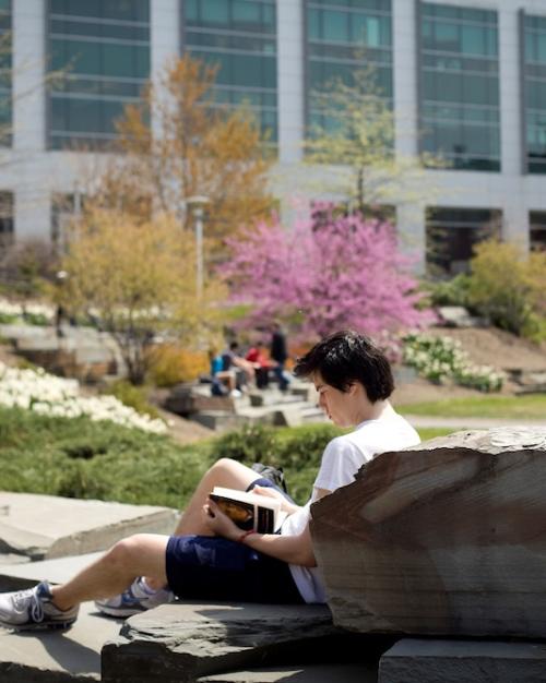 Person reading a book while sitting on a large rock outdoors