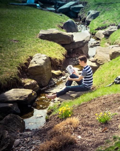Grassy glade with daffodils, a stream and a person wearing a striped shirt reading a book
