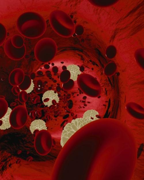 Illustration of blood cells flowing through an artery
