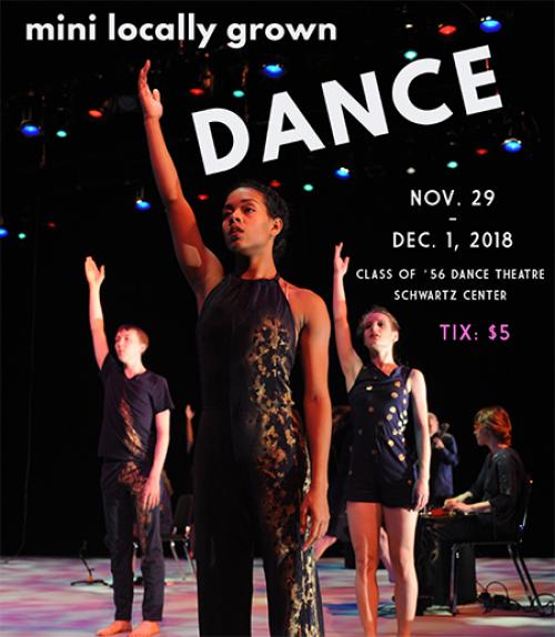  Locally grown dance fest poster
