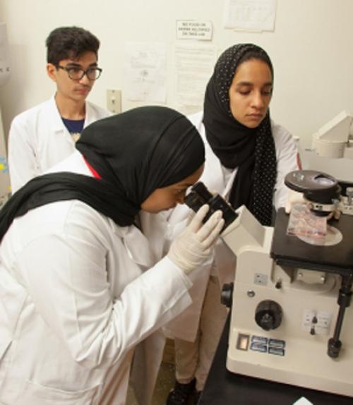  Students working a lab