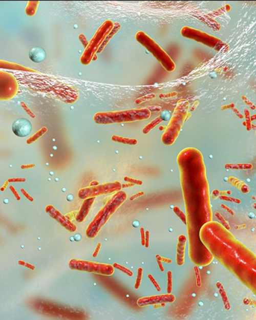 Drawing depiction of antibiotic resistant bacteria in film.