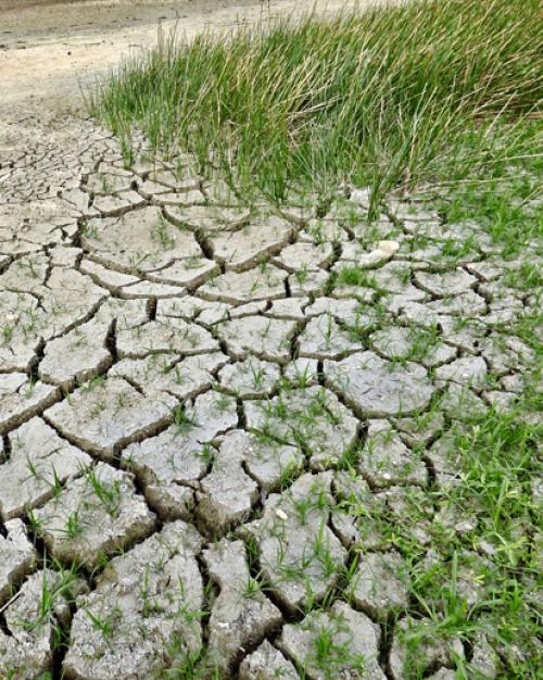 Dried up and cracking river bed