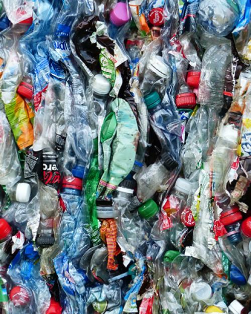  plastic bottles