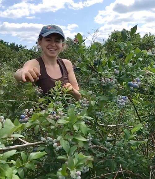  talia Isaacson picking blueberries