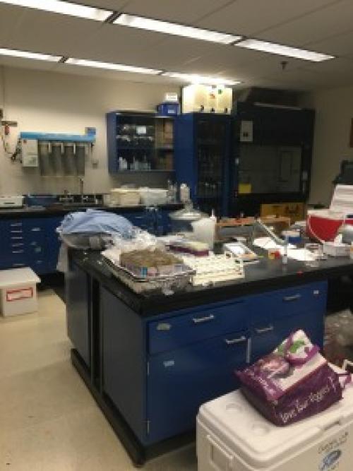  Here&#039;s a picture of the lab I work in!