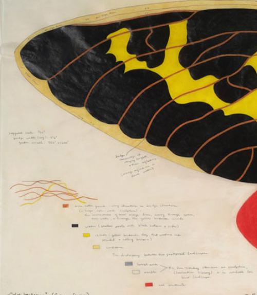  Image of a butterfly wing from painting in exhibit