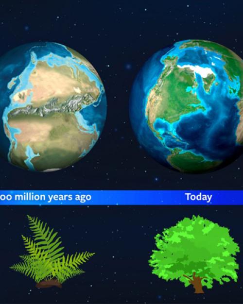 Astronomers use Earth’s history as guide to spot vegetation on new ...