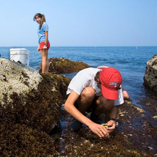 Biological Sciences