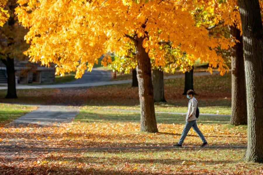 Masked student walking past autumn trees on the Arts Quad