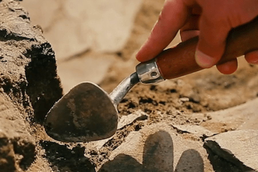 Hand digging with trowel in dirt