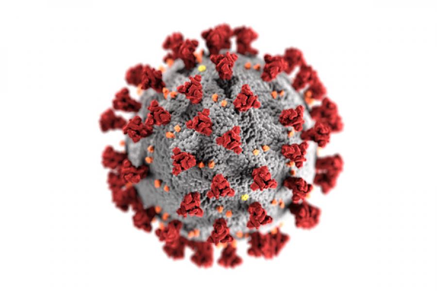 Covid-19 molecule illustration