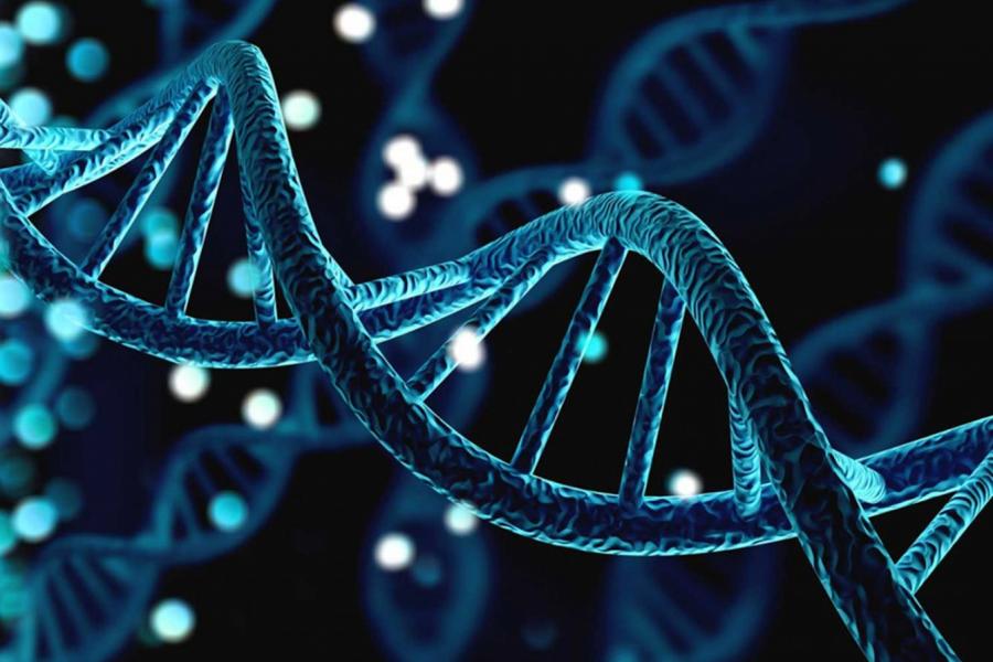 Illustration of DNA strand