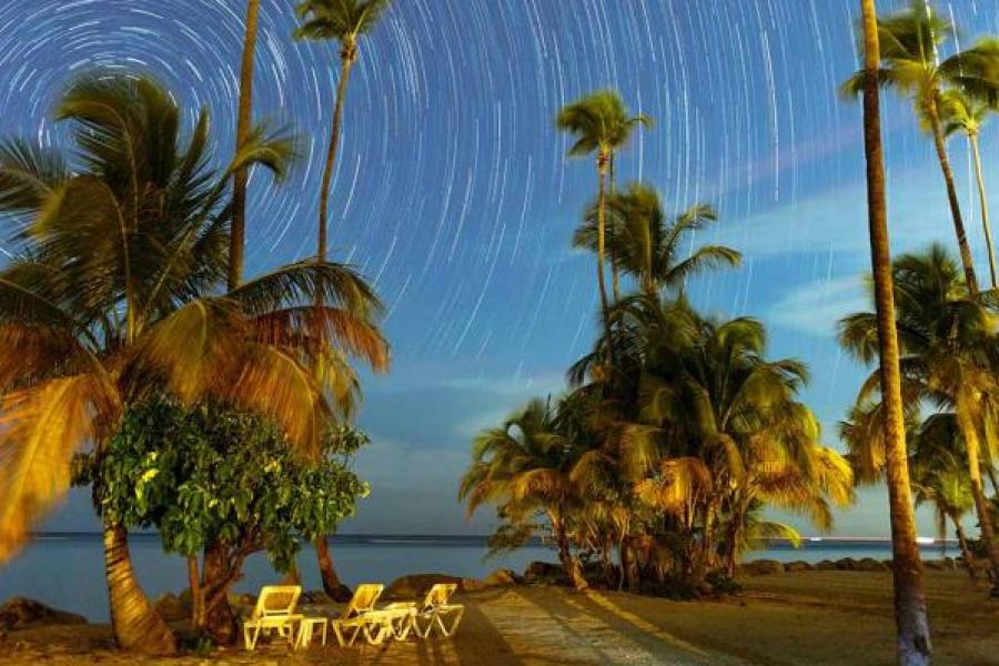 Sky full of stars, time lapse, over palm trees