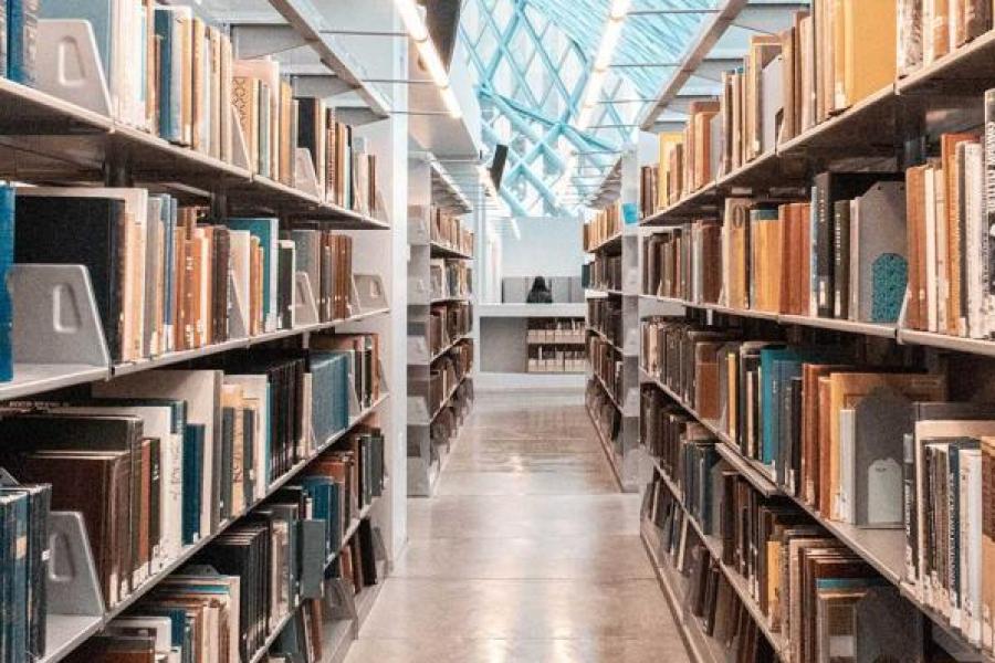 View between two library shelves full of books