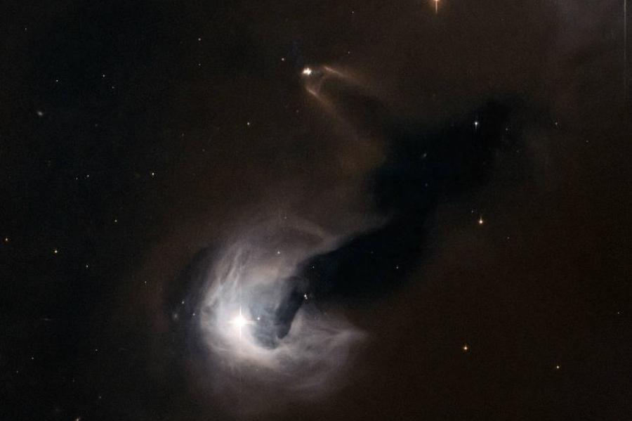 A "C" shaped white plume of gas forming a star, with other stars around it. 