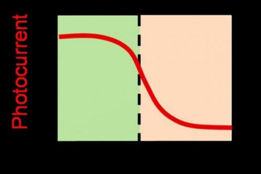 Two squares: one green and pink graph, the other rainbow