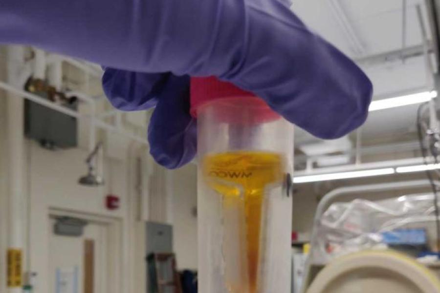 Gloved hand holding a test tube in a lab