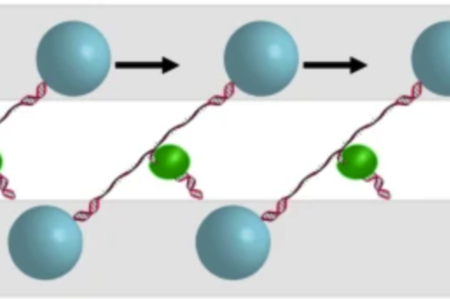 Illustration of nSWAT mechanism stretching DNA molecules