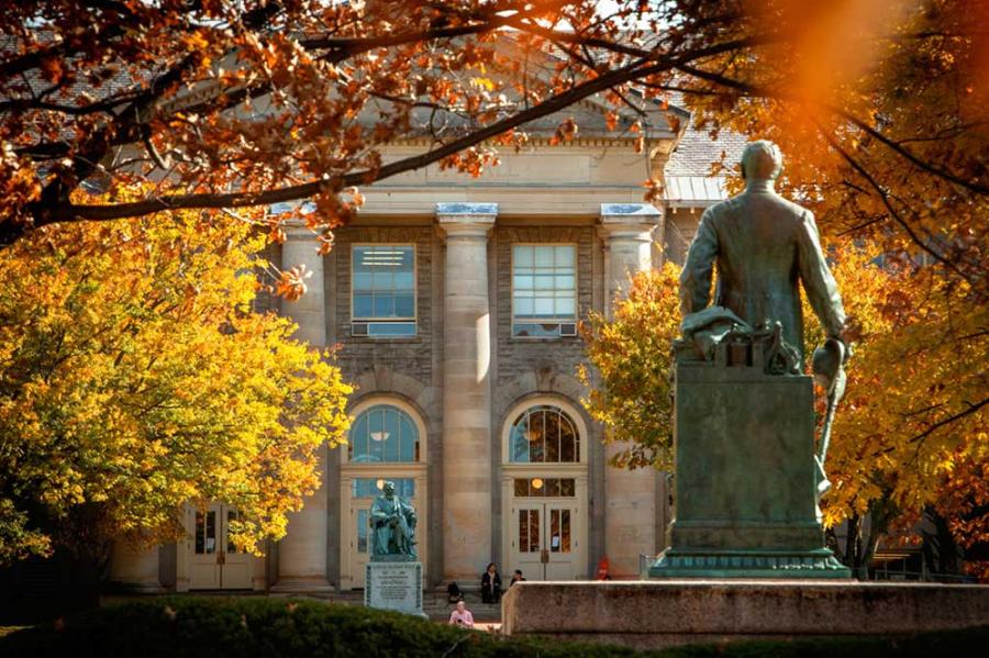 Statue in front of a stone building