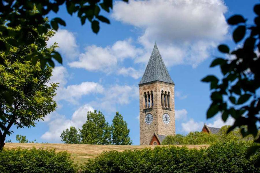 Clock tower peeking over a green hill with blue sky