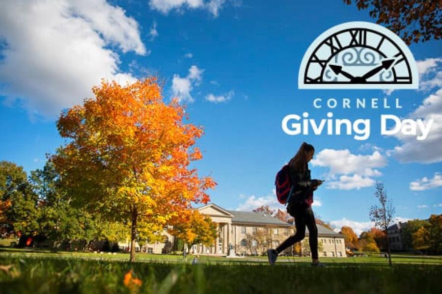 students walking on quad