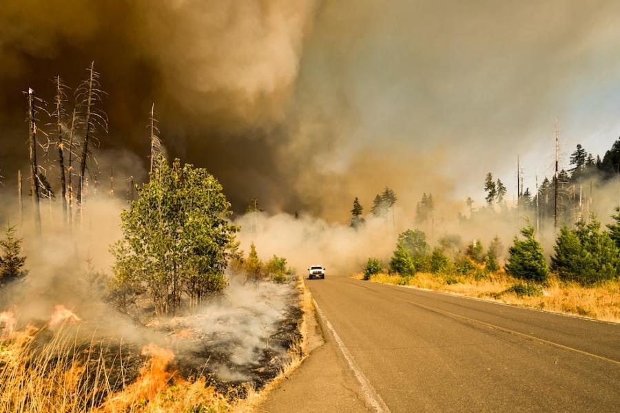 highway surrounded by smouldering brush; a white pickup truck