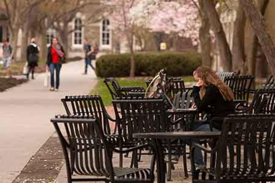 student studying on arts quad
