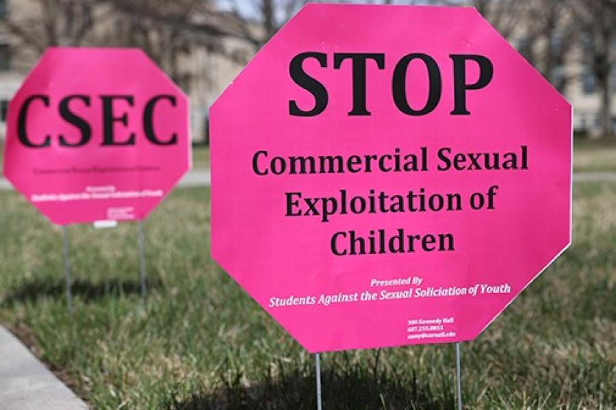 Bright pink lawn signs