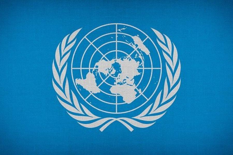 Seal of the United Nations, sheaths of wheat encircling an image of the continents