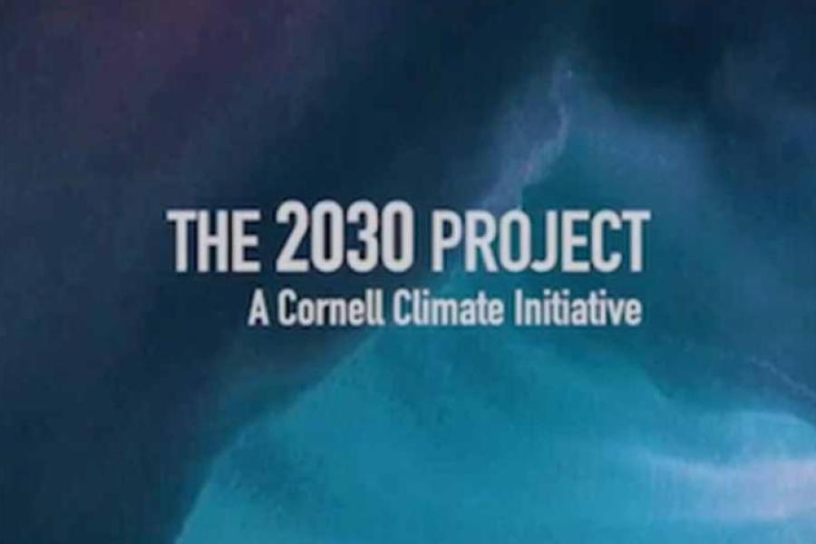 2030 PROJECT LOGO