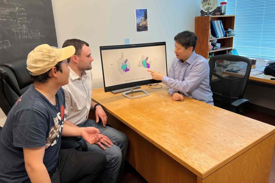 The three researchers are sitting around a desk and Ailong Ke is pointing to an image of the IscB molecule on the computer screen.