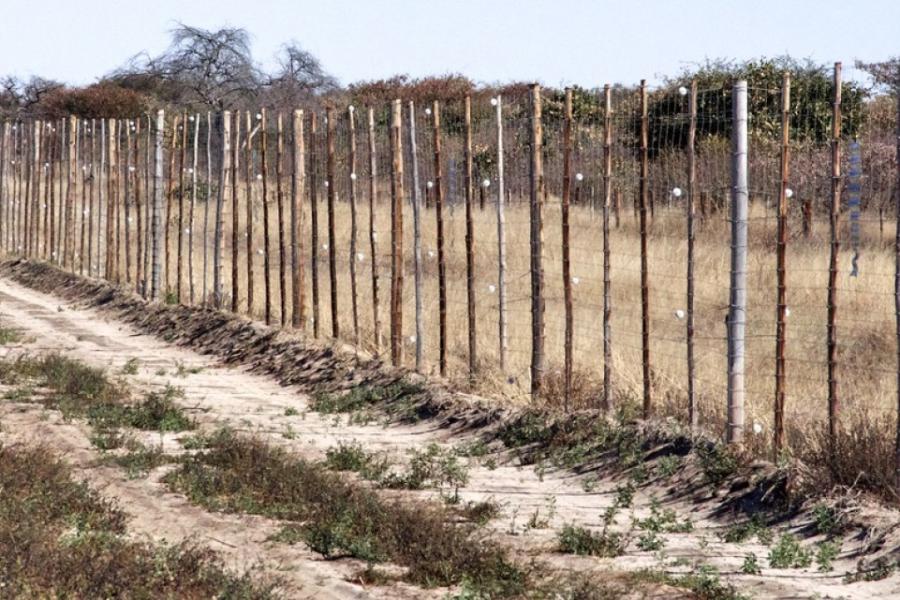 Fence made of wooden posts in a dry place