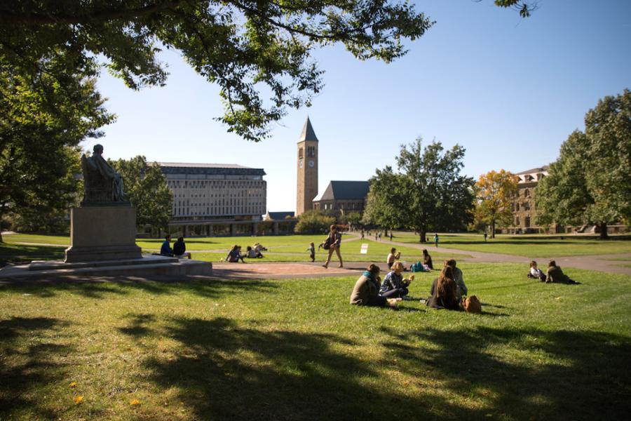 Several people sit on a shadowed lawn between university buildings