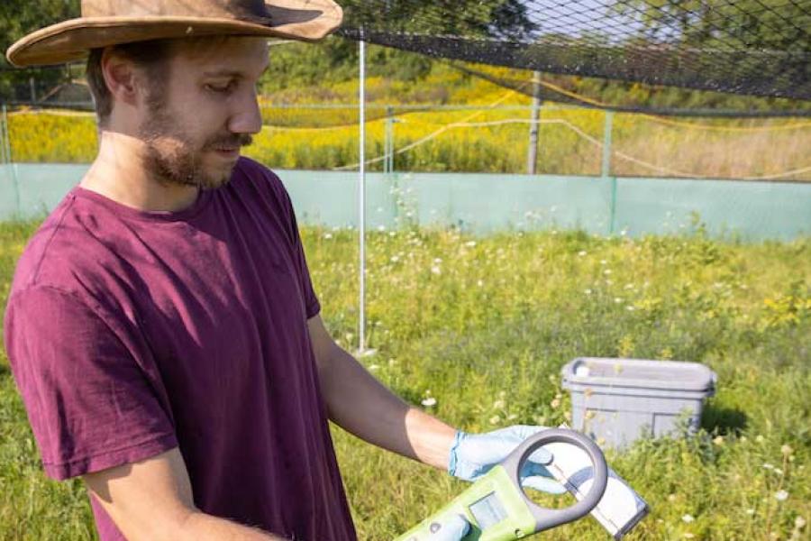 Person wearing a hat in a sunny field, using electronc equipment