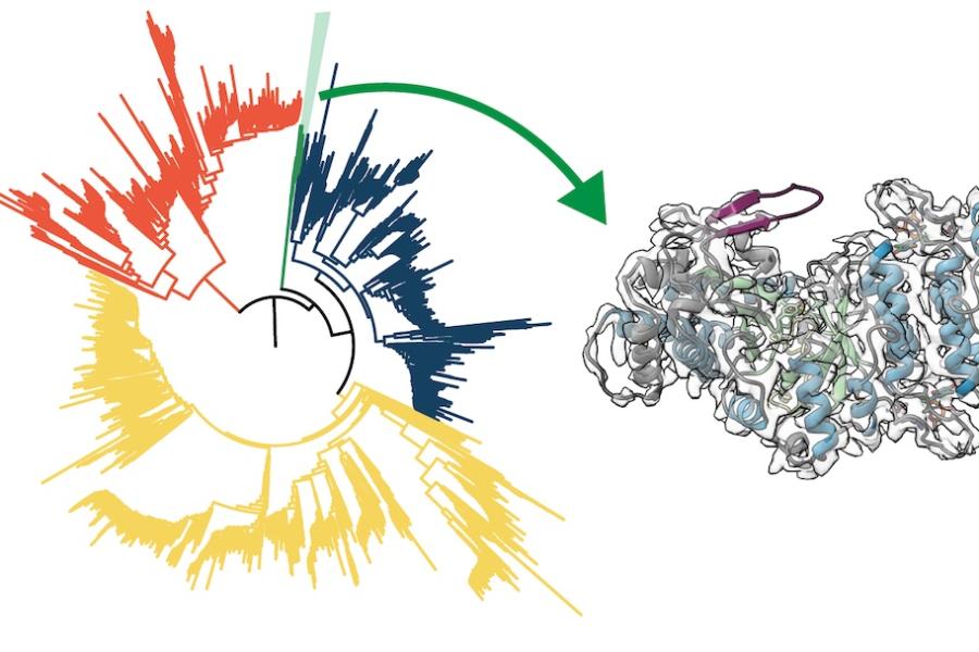 Two-part illustration: on the left, a three-color wheel; on the right, an elongated tangle of blue, grey and purple threads