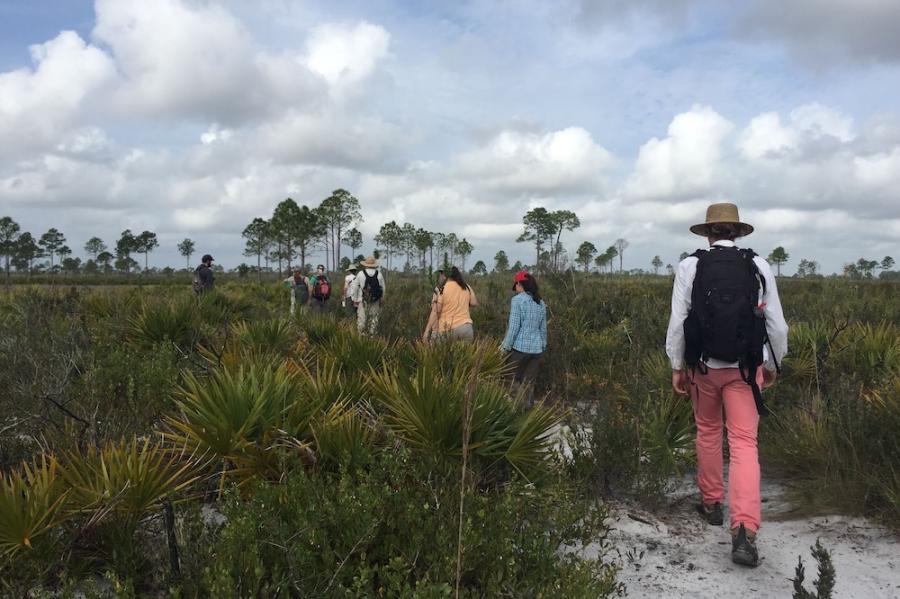 Several people wearing outdoor clothing walk in a line through sandy scrub land