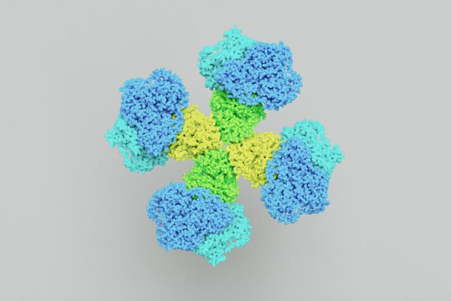 blue, green and yellow structure representing a molecule