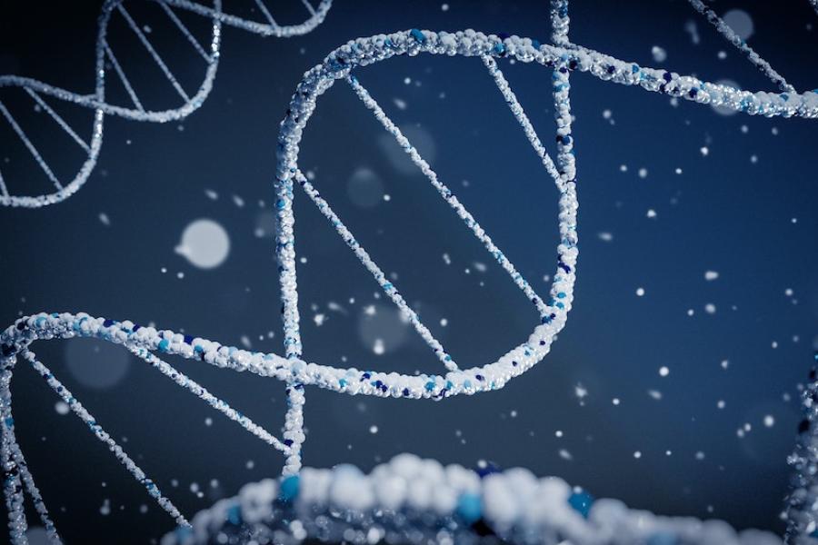 Double helix strands made out of tiny blue beads against a dark blue background