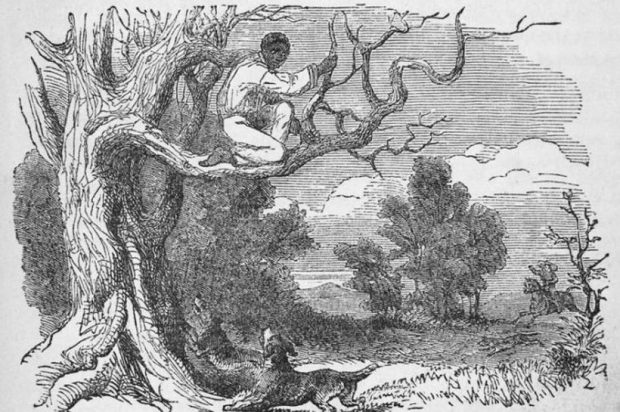 Drawing from an 18th century newspaper of a person in a tree