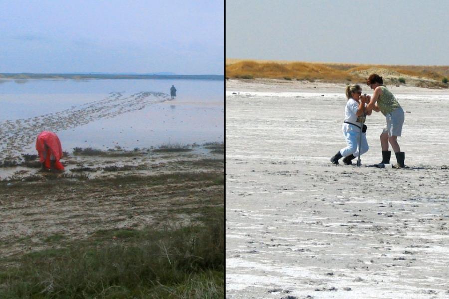 Two images of boggy land; people digging in it