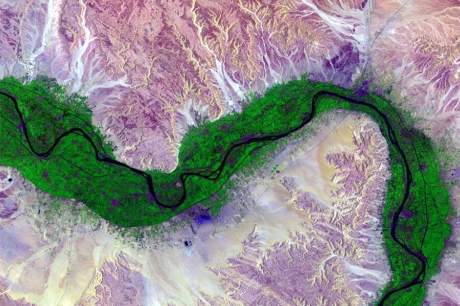 Green line winds through a background of pink