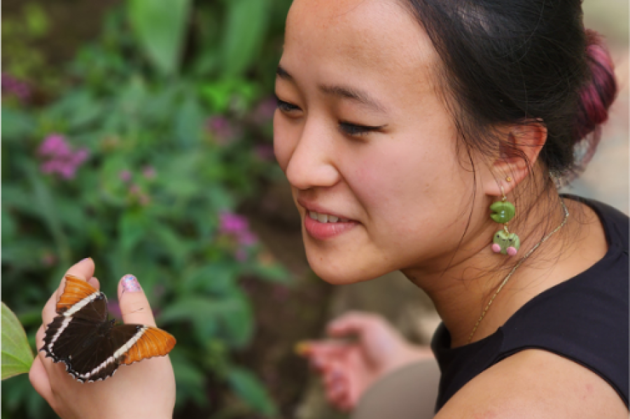 Person looking at a butterfuly in her hand