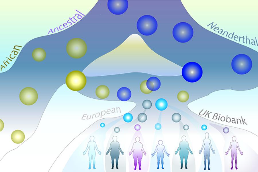 Illustration: seven human figures at the bottom, connected to pathways containing yellow and blue circles representing DNA