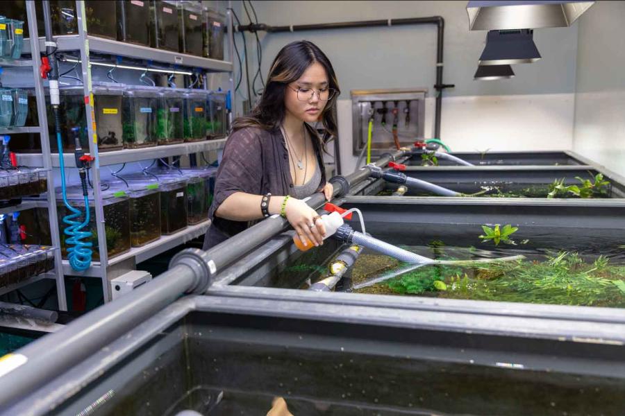 woman feeding fish