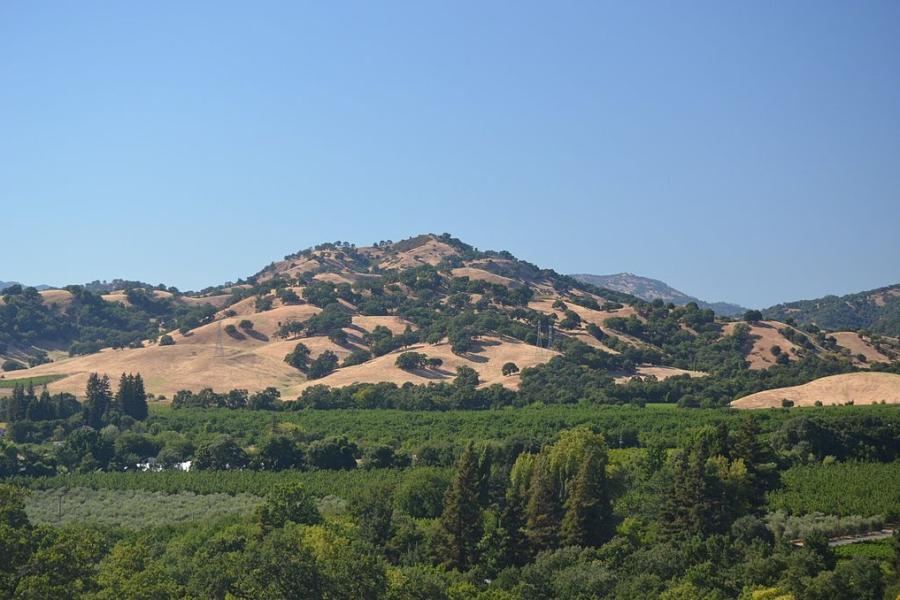 A large hill dotted with green foliage under a blue sky